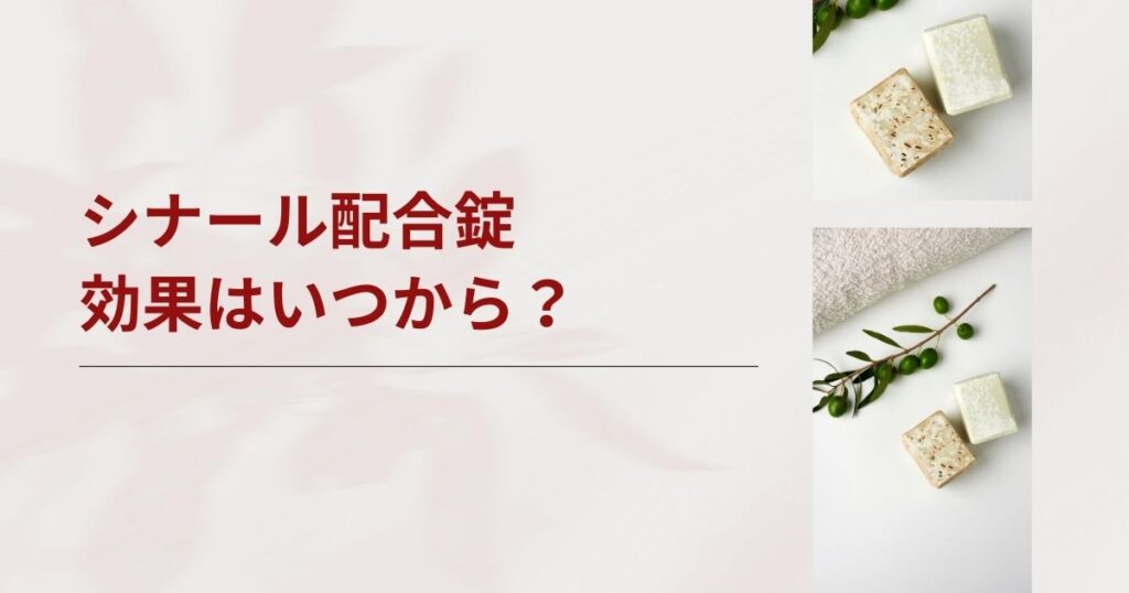 シナール配合錠の効果はいつから？焦る気持ちを安心に変えるヒント