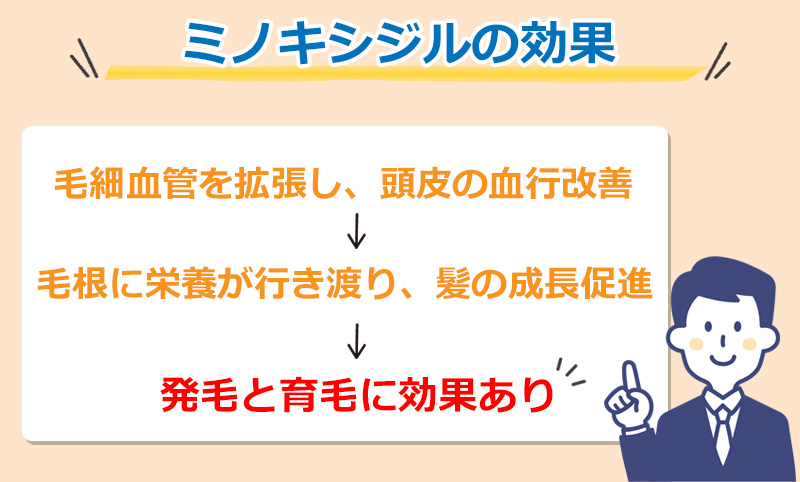 ミノキシジルの効果のオリジナル図解