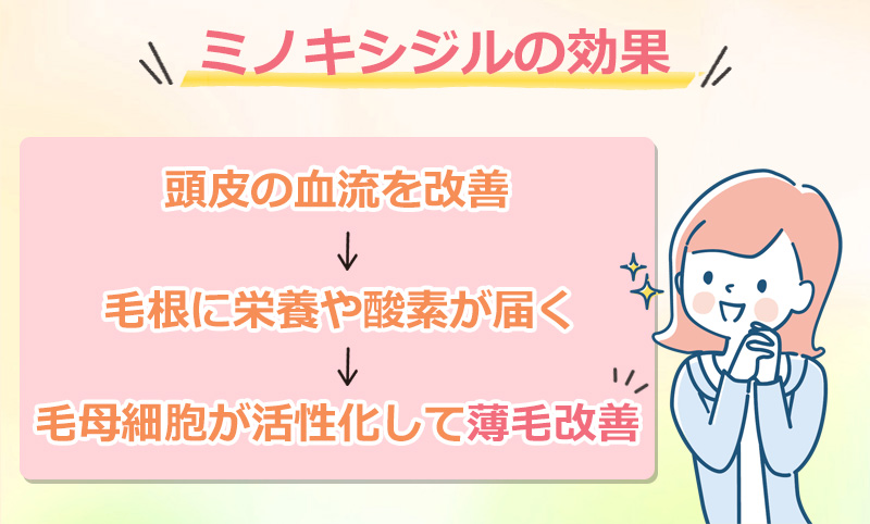ミノキシジルの効果のオリジナル図解
